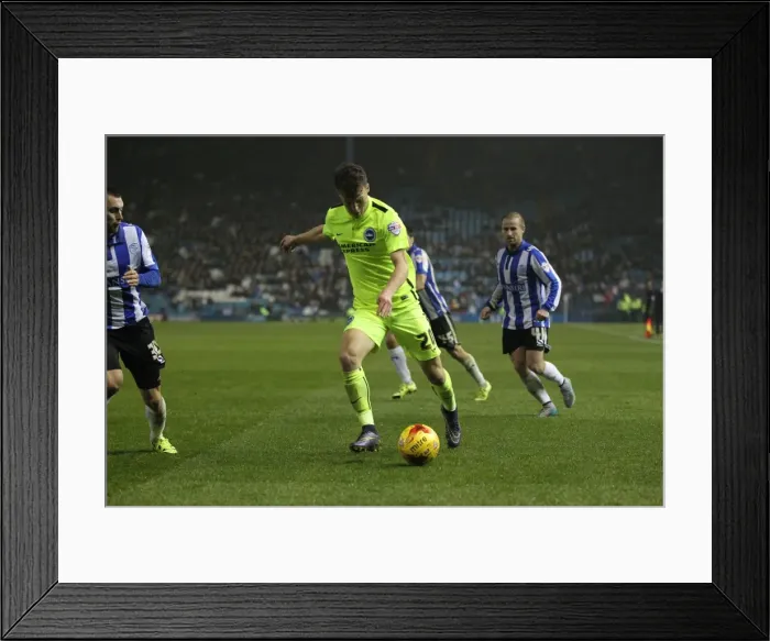 Framed Print : Championship Showdown: Sheffield Wednesday vs. Brighton & Hove Albion at Hillsborough Stadium (03NOV15) Framed Print : Championship Showdown: Sheffield Wednesday vs. Brighton & Hove Albion at Hillsborough Stadium (03NOV15)