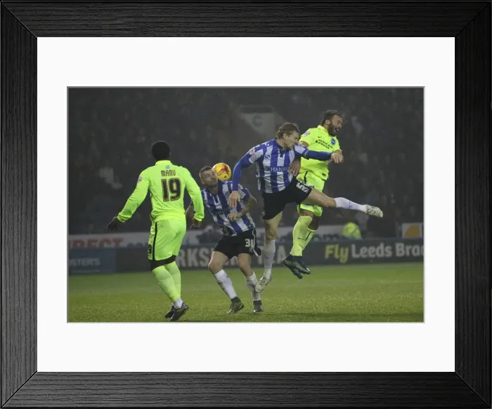 Framed Print : Championship Showdown: Sheffield Wednesday vs. Brighton & Hove Albion at Hillsborough Stadium (03NOV15) Framed Print : Championship Showdown: Sheffield Wednesday vs. Brighton & Hove Albion at Hillsborough Stadium (03NOV15)