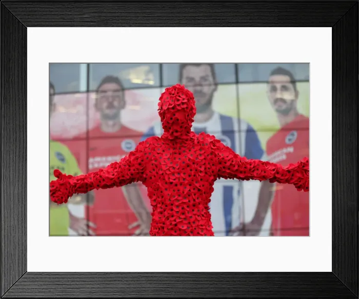 Framed Print : Man in Poppy Onesie: Brighton and Hove Albion vs. Milton Keynes Dons, Sky Bet Championship 2015 Framed Print : Man in Poppy Onesie: Brighton and Hove Albion vs. Milton Keynes Dons, Sky Bet Championship 2015