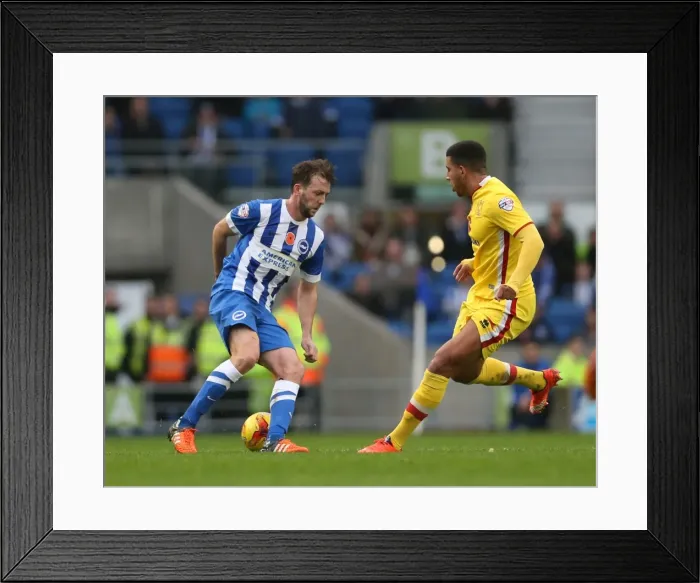 Framed Print : Brighton and Hove Albion vs Milton Keynes Dons: Sky Bet Championship Showdown at American Express Community Stadium (07 / 11 / 2015) Framed Print : Brighton and Hove Albion vs Milton Keynes Dons: Sky Bet Championship Showdown at American Express Community Stadium (07 / 11 / 2015)