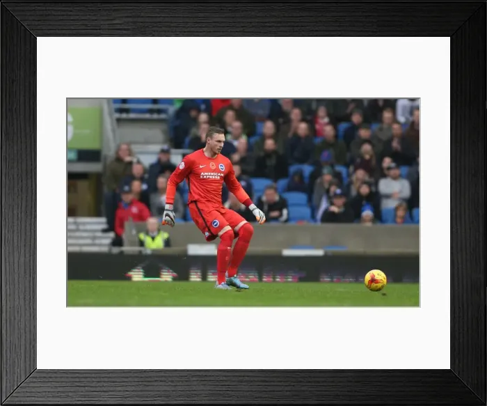 Framed Print : Brighton and Hove Albion vs Milton Keynes Dons: Sky Bet Championship Showdown at American Express Community Stadium (07.11.2015) Framed Print : Brighton and Hove Albion vs Milton Keynes Dons: Sky Bet Championship Showdown at American Express Community Stadium (07.11.2015)