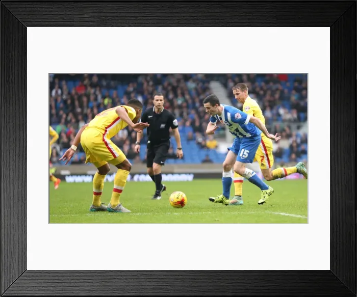 Framed Print : Brighton and Hove Albion vs Milton Keynes Dons: Sky Bet Championship Showdown at American Express Community Stadium (November 7, 2015) Framed Print : Brighton and Hove Albion vs Milton Keynes Dons: Sky Bet Championship Showdown at American Express Community Stadium (November 7, 2015)