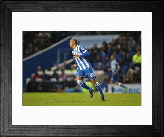 Framed Print : Brighton and Hove Albion vs. Milton Keynes Dons: Sky Bet Championship Showdown at American Express Community Stadium (07.11.2015)