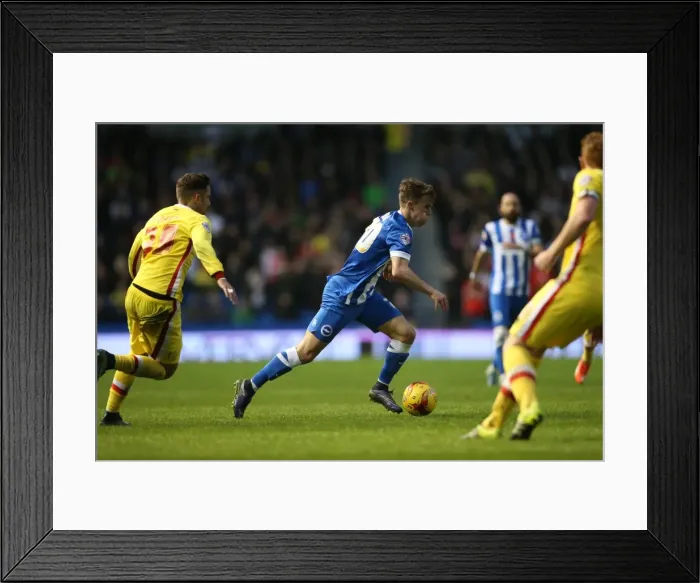 Framed Print : Brighton and Hove Albion vs. Milton Keynes Dons: Sky Bet Championship Showdown at American Express Community Stadium (07.11.2015) Framed Print : Brighton and Hove Albion vs. Milton Keynes Dons: Sky Bet Championship Showdown at American Express Community Stadium (07.11.2015)