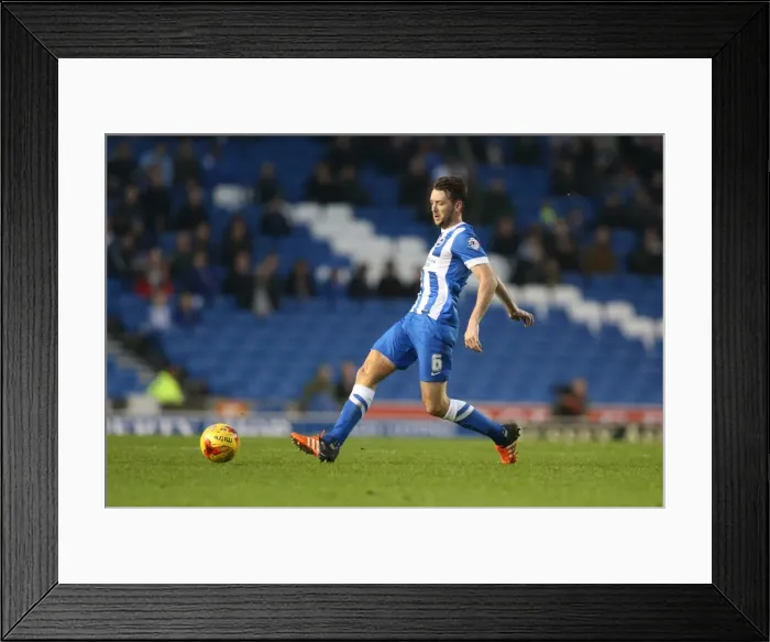 Framed Print : Brighton and Hove Albion vs. Milton Keynes Dons: Sky Bet Championship Showdown at American Express Community Stadium (07.11.2015) Framed Print : Brighton and Hove Albion vs. Milton Keynes Dons: Sky Bet Championship Showdown at American Express Community Stadium (07.11.2015)