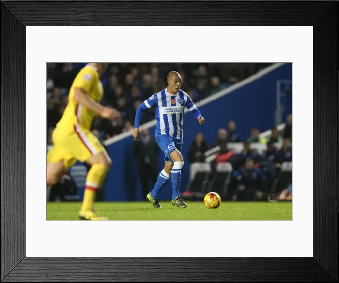 Framed Print : Brighton and Hove Albion vs. Milton Keynes Dons: Sky Bet Championship Showdown at American Express Community Stadium (07.11.2015)