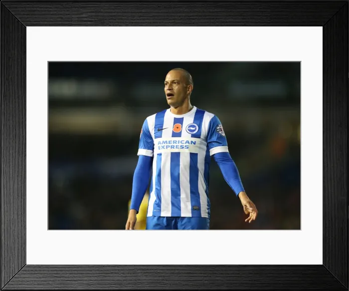 Framed Print : Brighton and Hove Albion vs Milton Keynes Dons: Sky Bet Championship Showdown at American Express Community Stadium (07.11.2015) Framed Print : Brighton and Hove Albion vs Milton Keynes Dons: Sky Bet Championship Showdown at American Express Community Stadium (07.11.2015)
