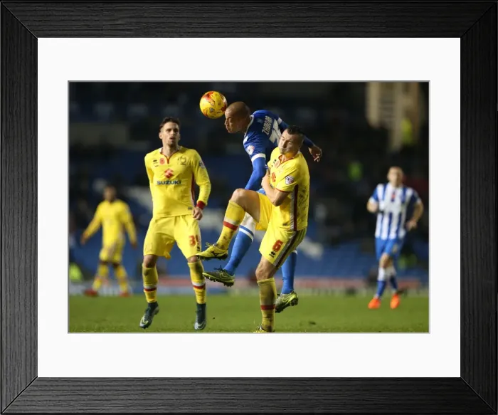 Framed Print : Brighton and Hove Albion vs Milton Keynes Dons: Sky Bet Championship Showdown at American Express Community Stadium (November 7, 2015) Framed Print : Brighton and Hove Albion vs Milton Keynes Dons: Sky Bet Championship Showdown at American Express Community Stadium (November 7, 2015)