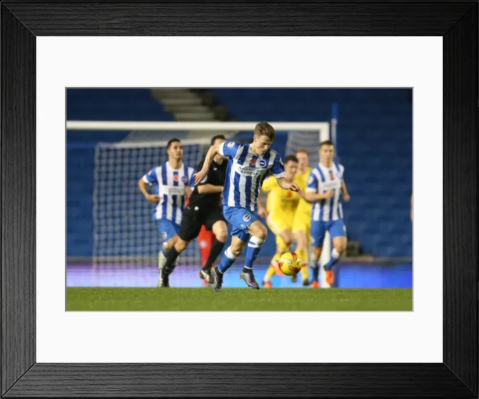 Framed Print : Brighton and Hove Albion vs Milton Keynes Dons: Sky Bet Championship Showdown at American Express Community Stadium (07.11.2015) Framed Print : Brighton and Hove Albion vs Milton Keynes Dons: Sky Bet Championship Showdown at American Express Community Stadium (07.11.2015)