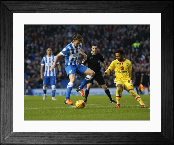 Framed Print : Brighton and Hove Albion vs Milton Keynes Dons: Sky Bet Championship Showdown at American Express Community Stadium (07 / 11 / 2015) Framed Print : Brighton and Hove Albion vs Milton Keynes Dons: Sky Bet Championship Showdown at American Express Community Stadium (07 / 11 / 2015)