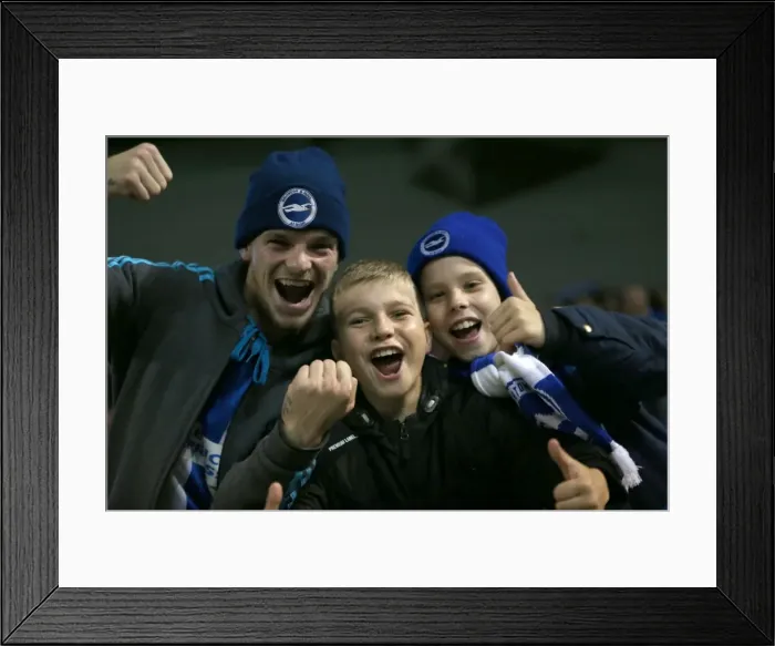 Framed Print : Brighton and Hove Albion vs Milton Keynes Dons: Sky Bet Championship Showdown at American Express Community Stadium (07 / 11 / 2015) Framed Print : Brighton and Hove Albion vs Milton Keynes Dons: Sky Bet Championship Showdown at American Express Community Stadium (07 / 11 / 2015)