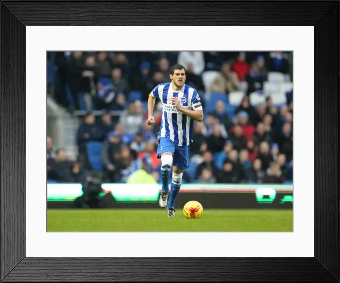 Framed Print : Brighton and Hove Albion vs. Birmingham City: Sky Bet Championship Showdown at American Express Community Stadium (November 28, 2015)