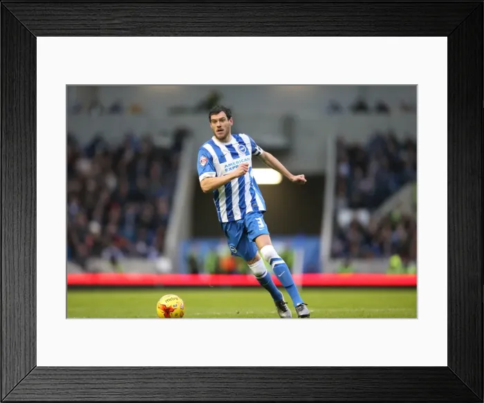 Framed Print : Brighton and Hove Albion vs Birmingham City: Sky Bet Championship Showdown at American Express Community Stadium (November 28, 2015) Framed Print : Brighton and Hove Albion vs Birmingham City: Sky Bet Championship Showdown at American Express Community Stadium (November 28, 2015)