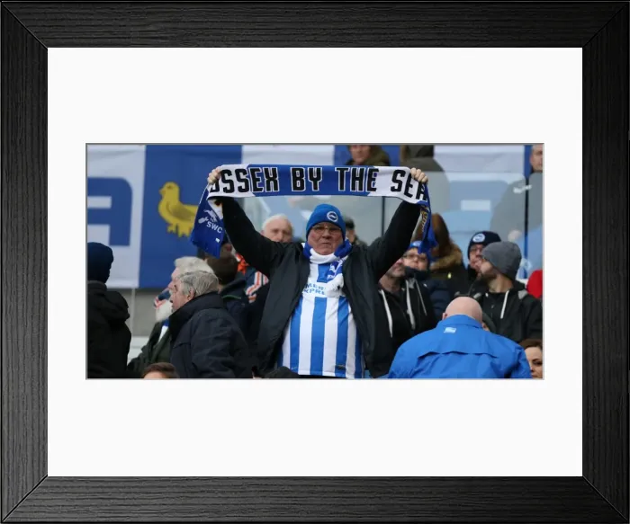 Framed Print : Brighton and Hove Albion vs. Birmingham City: Sky Bet Championship Showdown at American Express Community Stadium (November 28, 2015)