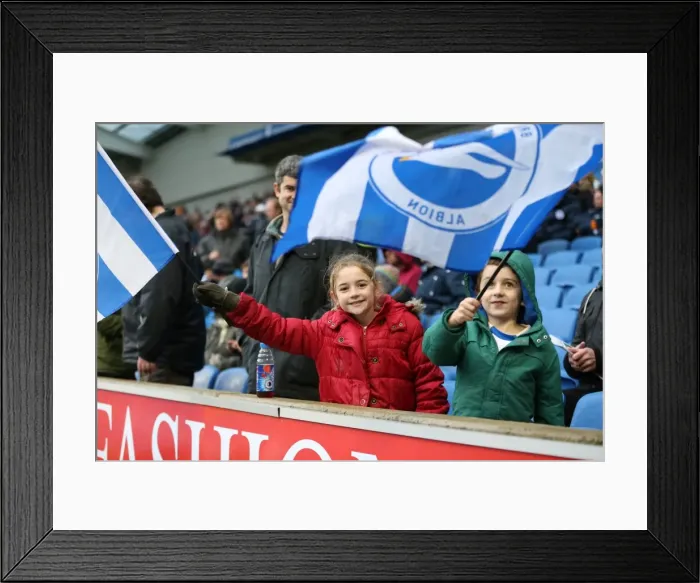 Framed Print : Brighton & Hove Albion vs. Birmingham City: Sky Bet Championship Showdown at American Express Community Stadium (Nov 2015)