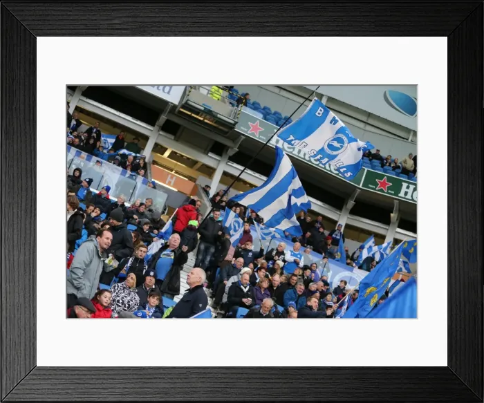 Framed Print : Brighton and Hove Albion vs Birmingham City: Championship Showdown at American Express Community Stadium (November 28, 2015) Framed Print : Brighton and Hove Albion vs Birmingham City: Championship Showdown at American Express Community Stadium (November 28, 2015)