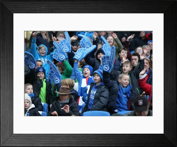 Framed Print : Brighton and Hove Albion vs Birmingham City: Sky Bet Championship Showdown at American Express Community Stadium (November 28, 2015) Framed Print : Brighton and Hove Albion vs Birmingham City: Sky Bet Championship Showdown at American Express Community Stadium (November 28, 2015)