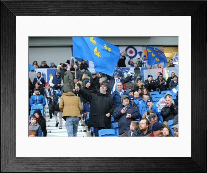 Framed Print : Brighton and Hove Albion vs Birmingham City: Sky Bet Championship Showdown at American Express Community Stadium (November 28, 2015) Framed Print : Brighton and Hove Albion vs Birmingham City: Sky Bet Championship Showdown at American Express Community Stadium (November 28, 2015)