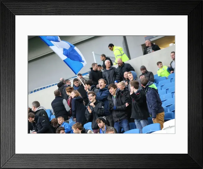 Framed Print : Brighton and Hove Albion vs Birmingham City: Sky Bet Championship Showdown at American Express Community Stadium (November 28, 2015) Framed Print : Brighton and Hove Albion vs Birmingham City: Sky Bet Championship Showdown at American Express Community Stadium (November 28, 2015)