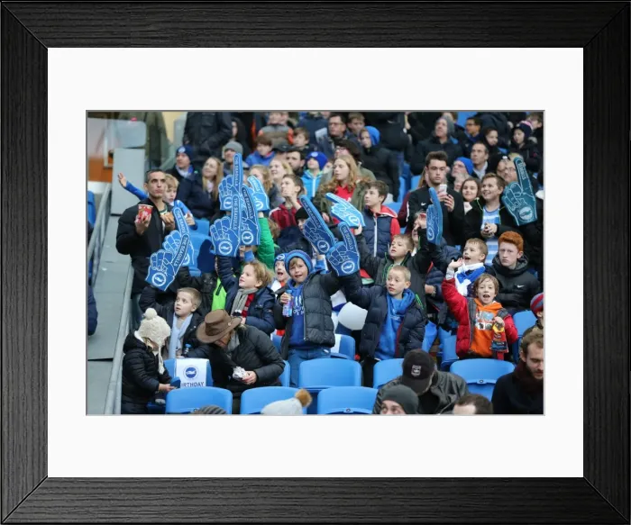 Framed Print : Brighton and Hove Albion vs. Birmingham City: Sky Bet Championship Showdown at American Express Community Stadium (November 28, 2015) Framed Print : Brighton and Hove Albion vs. Birmingham City: Sky Bet Championship Showdown at American Express Community Stadium (November 28, 2015)