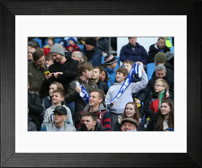 Framed Print : Brighton and Hove Albion vs Birmingham City: Sky Bet Championship Showdown at American Express Community Stadium (November 28, 2015) Framed Print : Brighton and Hove Albion vs Birmingham City: Sky Bet Championship Showdown at American Express Community Stadium (November 28, 2015)
