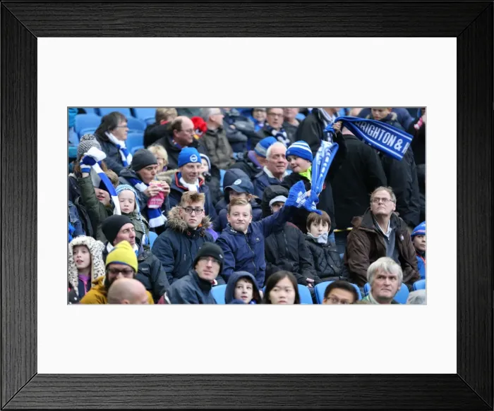 Framed Print : Brighton and Hove Albion vs Birmingham City: Sky Bet Championship Showdown at American Express Community Stadium (November 28, 2015) Framed Print : Brighton and Hove Albion vs Birmingham City: Sky Bet Championship Showdown at American Express Community Stadium (November 28, 2015)