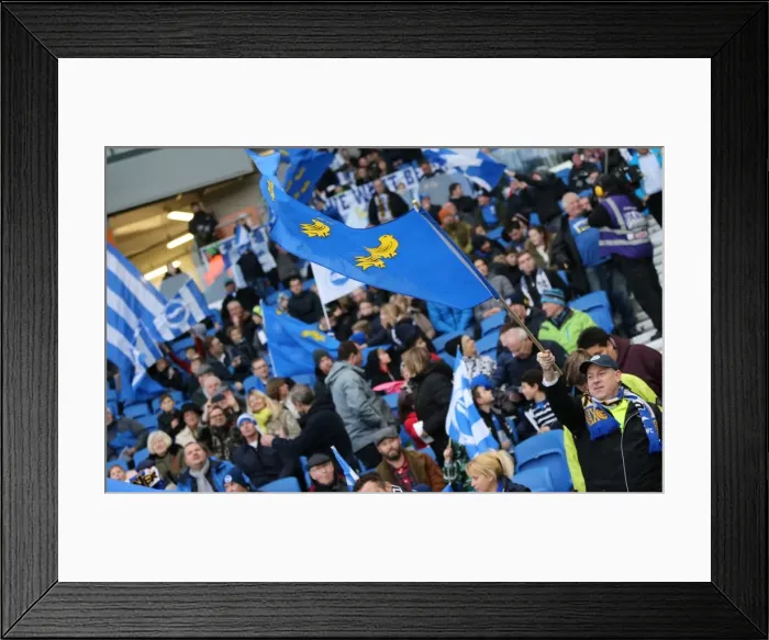 Framed Print : Brighton and Hove Albion vs Birmingham City: Sky Bet Championship Showdown at American Express Community Stadium (November 28, 2015) Framed Print : Brighton and Hove Albion vs Birmingham City: Sky Bet Championship Showdown at American Express Community Stadium (November 28, 2015)