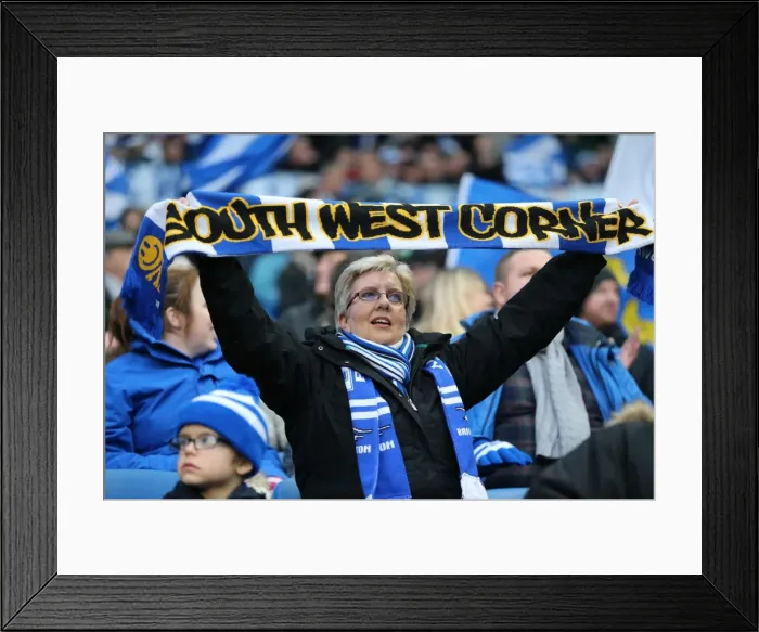 Framed Print : Brighton and Hove Albion vs Birmingham City: Sky Bet Championship Showdown at American Express Community Stadium (November 28, 2015) Framed Print : Brighton and Hove Albion vs Birmingham City: Sky Bet Championship Showdown at American Express Community Stadium (November 28, 2015)