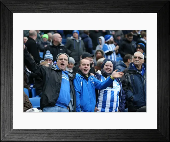 Framed Print : Brighton and Hove Albion vs Birmingham City: Sky Bet Championship Showdown at American Express Community Stadium (Nov 2015) Framed Print : Brighton and Hove Albion vs Birmingham City: Sky Bet Championship Showdown at American Express Community Stadium (Nov 2015)