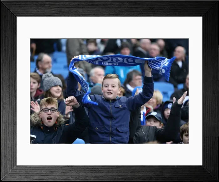 Framed Print : Brighton and Hove Albion vs Birmingham City: Sky Bet Championship Showdown at American Express Community Stadium (November 28, 2015) Framed Print : Brighton and Hove Albion vs Birmingham City: Sky Bet Championship Showdown at American Express Community Stadium (November 28, 2015)