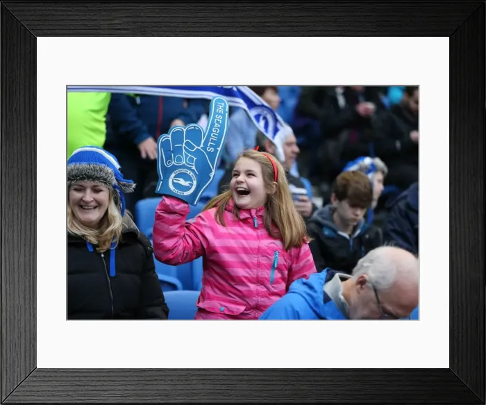Framed Print : Brighton & Hove Albion vs Birmingham City: Sky Bet Championship Showdown at American Express Community Stadium (November 28, 2015) Framed Print : Brighton & Hove Albion vs Birmingham City: Sky Bet Championship Showdown at American Express Community Stadium (November 28, 2015)