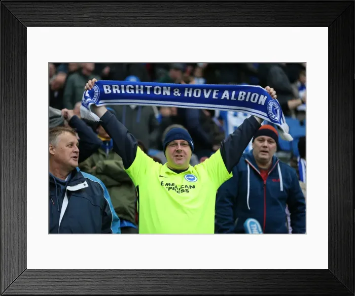 Framed Print : Brighton and Hove Albion vs Birmingham City: Sky Bet Championship Showdown at American Express Community Stadium (November 28, 2015) Framed Print : Brighton and Hove Albion vs Birmingham City: Sky Bet Championship Showdown at American Express Community Stadium (November 28, 2015)