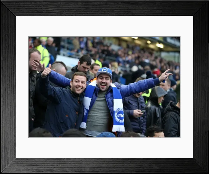 Framed Print : Brighton and Hove Albion vs Birmingham City: Sky Bet Championship Showdown at American Express Community Stadium (November 28, 2015) Framed Print : Brighton and Hove Albion vs Birmingham City: Sky Bet Championship Showdown at American Express Community Stadium (November 28, 2015)