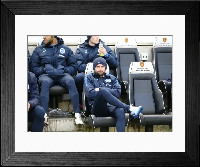 Framed Print : Brighton and Hove Albion vs Birmingham City: Sky Bet Championship Showdown at American Express Community Stadium (November 28, 2015) Framed Print : Brighton and Hove Albion vs Birmingham City: Sky Bet Championship Showdown at American Express Community Stadium (November 28, 2015)