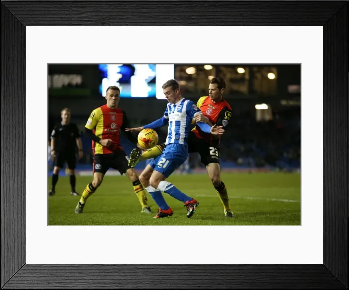 Framed Print : Brighton and Hove Albion vs Birmingham City: Sky Bet Championship Showdown at American Express Community Stadium (November 28, 2015)
