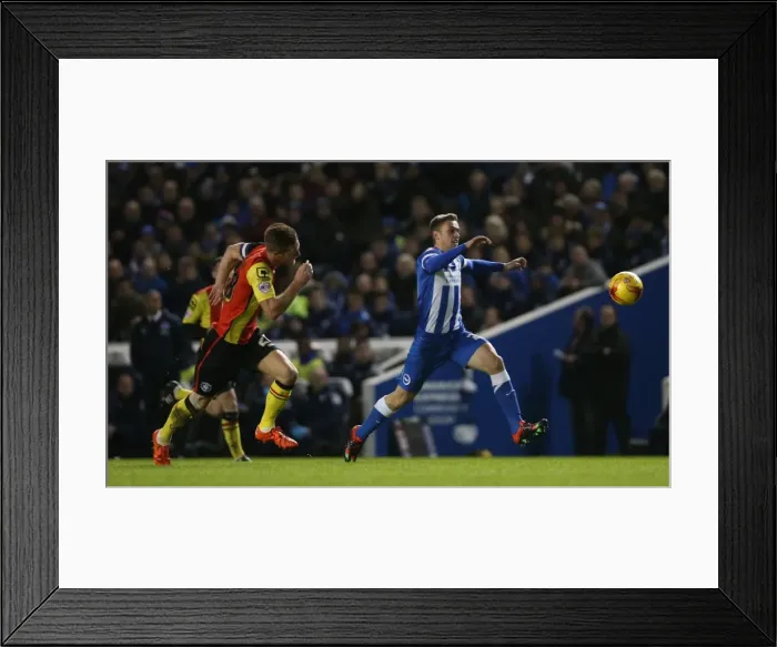 Framed Print : Brighton and Hove Albion vs. Birmingham City: Sky Bet Championship Showdown at American Express Community Stadium (November 28, 2015) Framed Print : Brighton and Hove Albion vs. Birmingham City: Sky Bet Championship Showdown at American Express Community Stadium (November 28, 2015)
