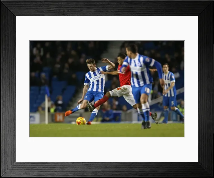 Framed Print : Brighton and Hove Albion vs Charlton Athletic: Sky Bet Championship Showdown at American Express Community Stadium (05DEC15) Framed Print : Brighton and Hove Albion vs Charlton Athletic: Sky Bet Championship Showdown at American Express Community Stadium (05DEC15)