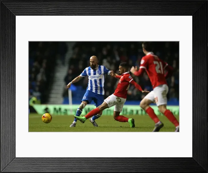 Framed Print : Brighton and Hove Albion vs Charlton Athletic: Sky Bet Championship Showdown at American Express Community Stadium (05DEC15)