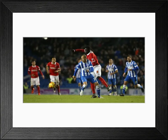 Framed Print : Brighton and Hove Albion vs Charlton Athletic: Sky Bet Championship Showdown at American Express Community Stadium (05DEC15)