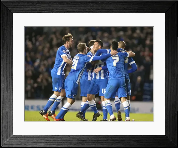 Framed Print : Brighton and Hove Albion vs Charlton Athletic: Sky Bet Championship Showdown at American Express Community Stadium (05DEC15) Framed Print : Brighton and Hove Albion vs Charlton Athletic: Sky Bet Championship Showdown at American Express Community Stadium (05DEC15)