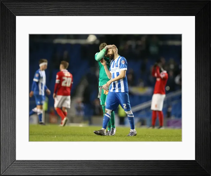 Framed Print : Brighton and Hove Albion vs Charlton Athletic: Sky Bet Championship Showdown at American Express Community Stadium (05DEC15) Framed Print : Brighton and Hove Albion vs Charlton Athletic: Sky Bet Championship Showdown at American Express Community Stadium (05DEC15)