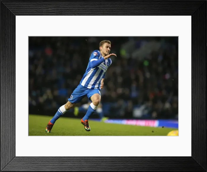 Framed Print : Brighton and Hove Albion vs Charlton Athletic: Sky Bet Championship Showdown at American Express Community Stadium (05DEC15) Framed Print : Brighton and Hove Albion vs Charlton Athletic: Sky Bet Championship Showdown at American Express Community Stadium (05DEC15)