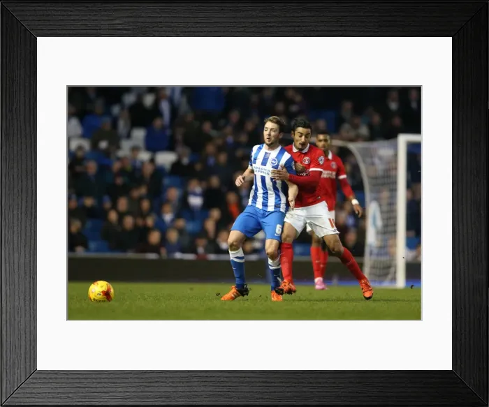 Framed Print : Brighton and Hove Albion vs Charlton Athletic: Sky Bet Championship Showdown at American Express Community Stadium (05DEC15) Framed Print : Brighton and Hove Albion vs Charlton Athletic: Sky Bet Championship Showdown at American Express Community Stadium (05DEC15)