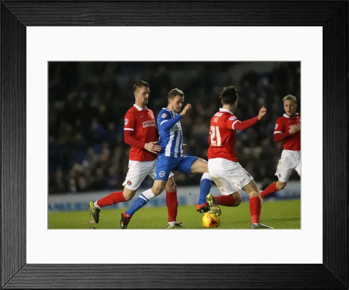 Framed Print : Brighton and Hove Albion vs Charlton Athletic: Sky Bet Championship Showdown at American Express Community Stadium (05DEC15) Framed Print : Brighton and Hove Albion vs Charlton Athletic: Sky Bet Championship Showdown at American Express Community Stadium (05DEC15)