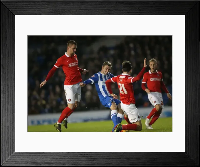 Framed Print : Brighton and Hove Albion vs Charlton Athletic: Sky Bet Championship Showdown at American Express Community Stadium (05DEC15) Framed Print : Brighton and Hove Albion vs Charlton Athletic: Sky Bet Championship Showdown at American Express Community Stadium (05DEC15)