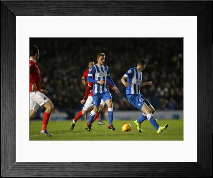 Framed Print : Brighton and Hove Albion vs Charlton Athletic: Sky Bet Championship Showdown at American Express Community Stadium (05DEC15) Framed Print : Brighton and Hove Albion vs Charlton Athletic: Sky Bet Championship Showdown at American Express Community Stadium (05DEC15)