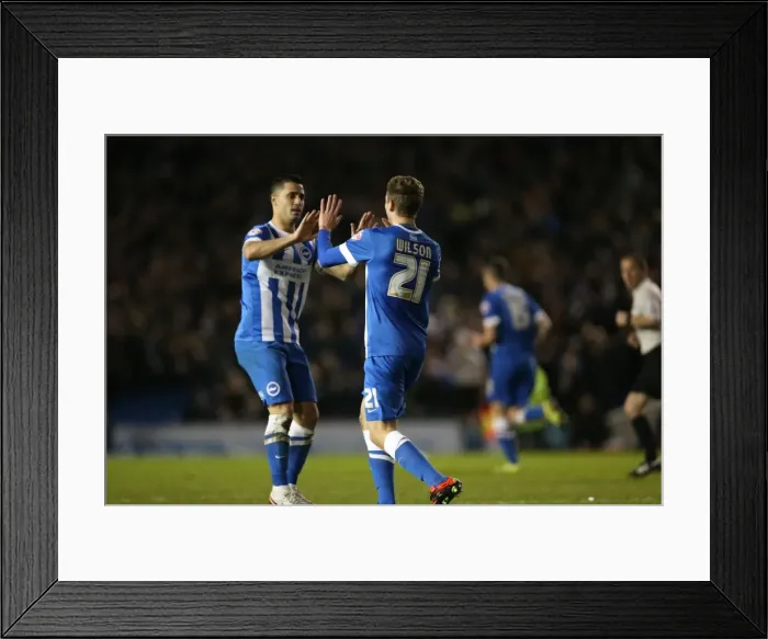 Framed Print : Brighton and Hove Albion vs Charlton Athletic: Sky Bet Championship Showdown at American Express Community Stadium (05DEC15) Framed Print : Brighton and Hove Albion vs Charlton Athletic: Sky Bet Championship Showdown at American Express Community Stadium (05DEC15)