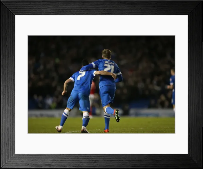 Framed Print : Brighton and Hove Albion vs Charlton Athletic: Sky Bet Championship Showdown at American Express Community Stadium (05DEC15) Framed Print : Brighton and Hove Albion vs Charlton Athletic: Sky Bet Championship Showdown at American Express Community Stadium (05DEC15)