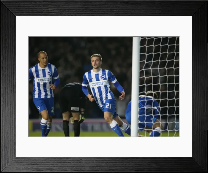 Framed Print : Brighton and Hove Albion vs Charlton Athletic: Sky Bet Championship Showdown at American Express Community Stadium (05DEC15) Framed Print : Brighton and Hove Albion vs Charlton Athletic: Sky Bet Championship Showdown at American Express Community Stadium (05DEC15)