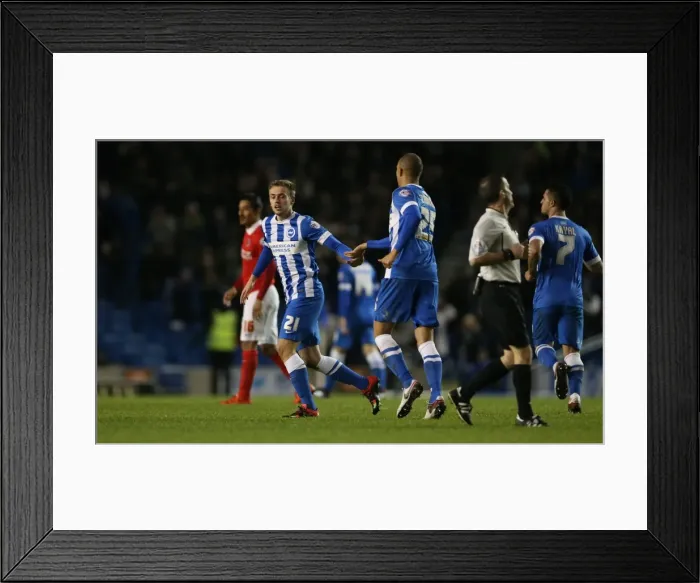 Framed Print : Brighton and Hove Albion vs Charlton Athletic: Sky Bet Championship Showdown at American Express Community Stadium (05DEC15) Framed Print : Brighton and Hove Albion vs Charlton Athletic: Sky Bet Championship Showdown at American Express Community Stadium (05DEC15)